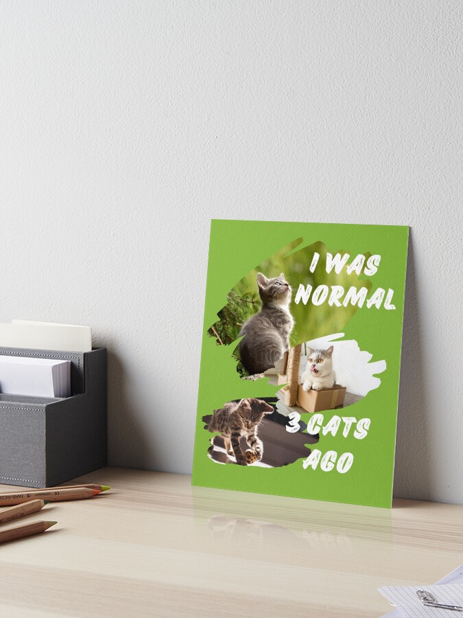 I was normal 3 cats ago - funny cat parent quote