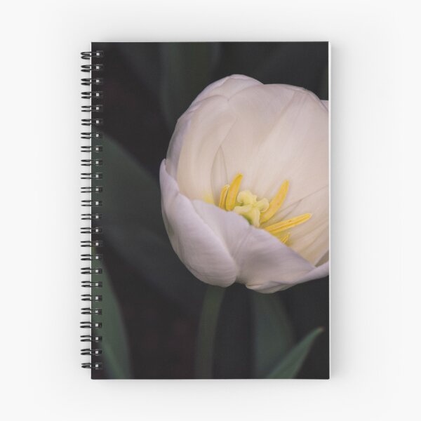 Item preview, Tulips 2 designed and sold by Lidia D'Opera Photographer.