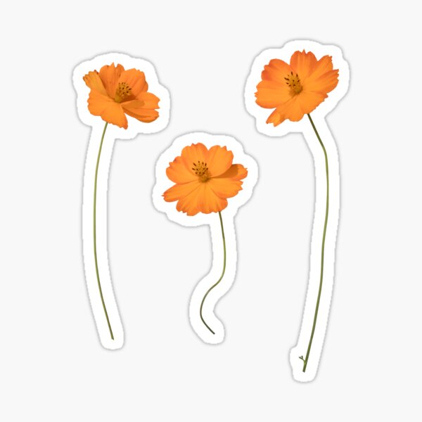 Watercolor Blue Toned with Orange Highlight Floral Stems  Sticker