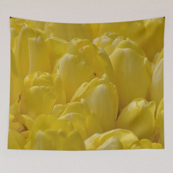 Item preview, keukenhof gardens, the netherlands designed and sold by gary roberts.