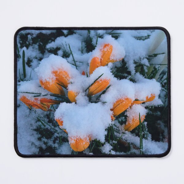 Item preview, Snow in Springtime designed and sold by Violaman.