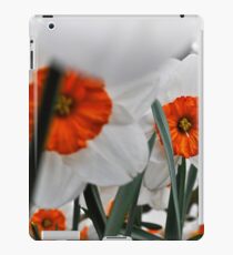 keukenhof gardens, the netherlands iPad Case/Skin