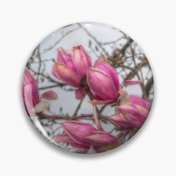 Item preview, Tulip Tree Blossoms designed and sold by Frankie Cat Photography.