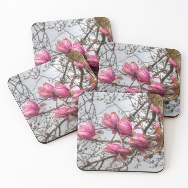 Item preview, Tulip Tree Blossoms designed and sold by Frankie Cat Photography.
