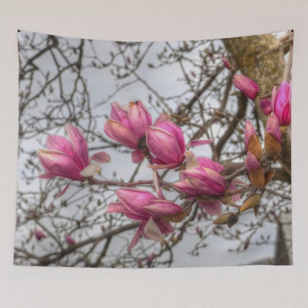 Item preview, Tulip Tree Blossoms designed and sold by Frankie Cat Photography.