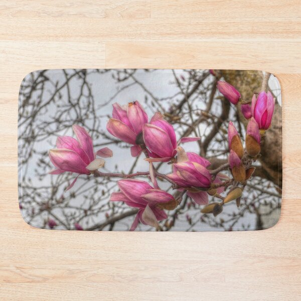 Item preview, Tulip Tree Blossoms designed and sold by Frankie Cat Photography.
