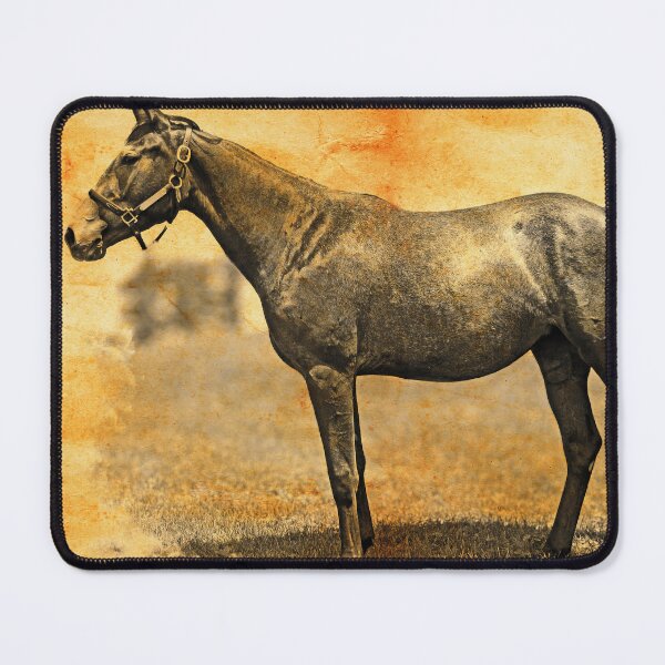 Item preview, Thoroughbred horse on a pasture, blended on old paper designed and sold by NickoPrints.