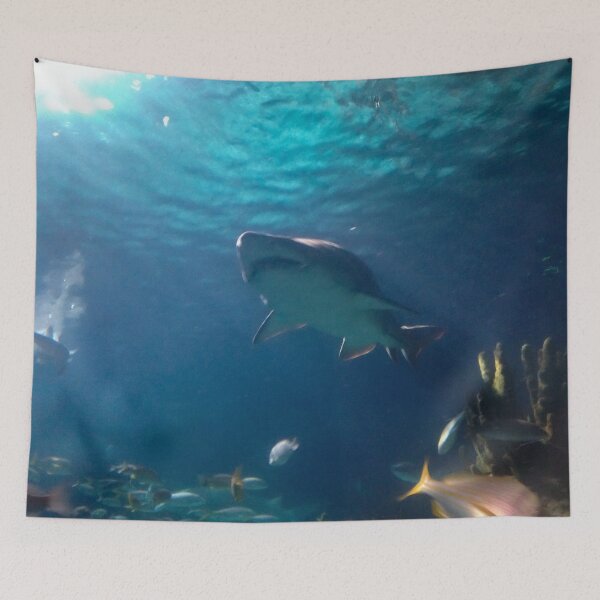 Item preview, Shark! designed and sold by Craig Kauzmann.