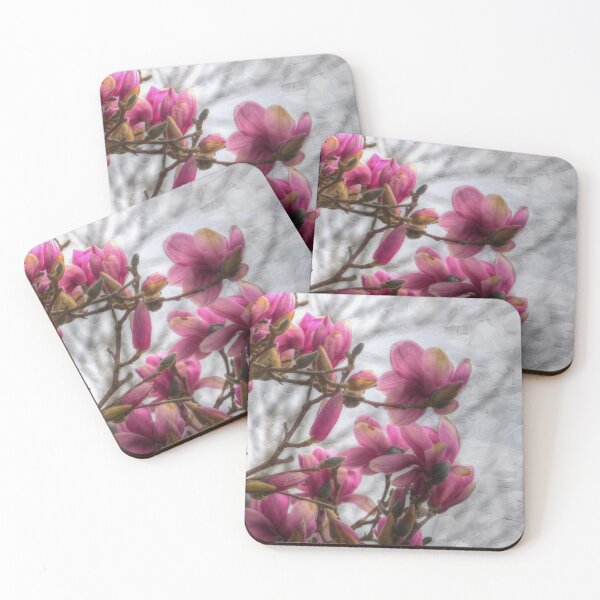 Item preview, Tulip Tree Blossoms designed and sold by Frankie Cat Photography.