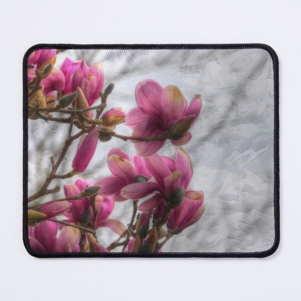 Item preview, Tulip Tree Blossoms designed and sold by Frankie Cat Photography.