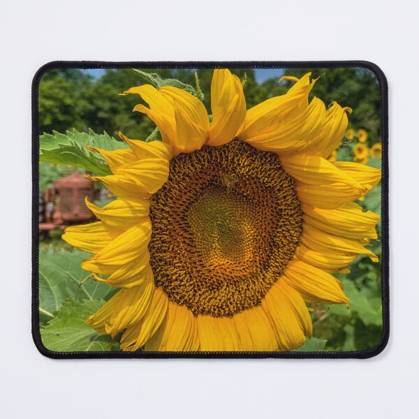 Item preview, Sunflower Time designed and sold by Craig Kauzmann.