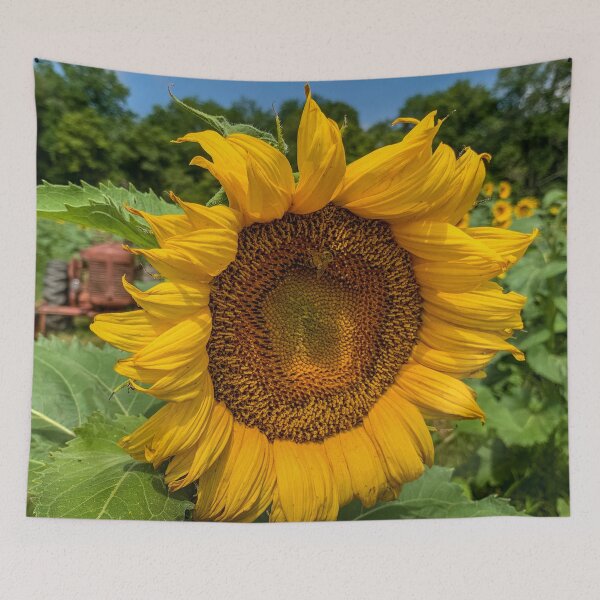 Item preview, Sunflower Time designed and sold by Craig Kauzmann.