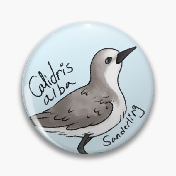 Item preview, Sanderling designed and sold by PteriGrus.