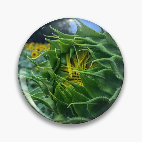 Item preview, Soon to Open Sunflower designed and sold by Craig Kauzmann.