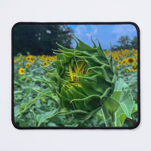 Item preview, Soon to Open Sunflower designed and sold by Craig Kauzmann.