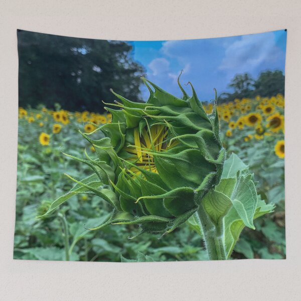 Item preview, Soon to Open Sunflower designed and sold by Craig Kauzmann.