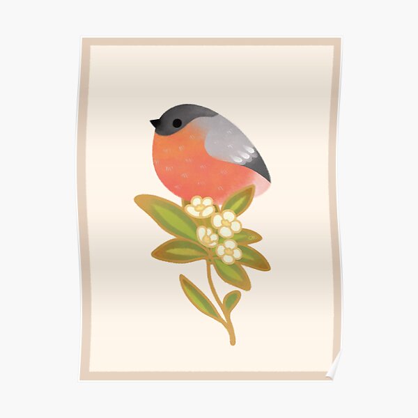 Eurasian bullfinch 2 Poster