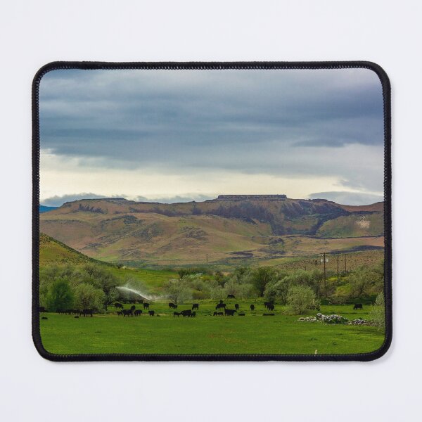 Item preview, An Elmore County, Idaho, Farm designed and sold by Bryan Spellman.