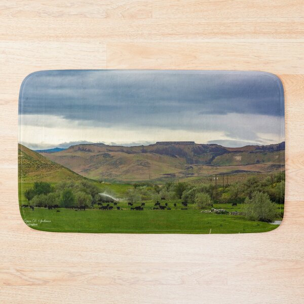 Item preview, An Elmore County, Idaho, Farm designed and sold by Bryan Spellman.