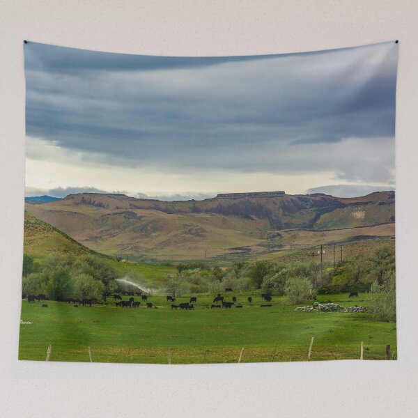 Item preview, An Elmore County, Idaho, Farm designed and sold by Bryan Spellman.