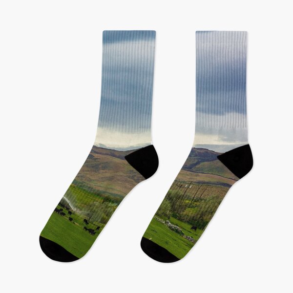 Item preview, An Elmore County, Idaho, Farm designed and sold by Bryan Spellman.