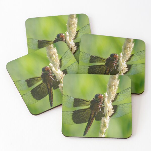 Item preview, Dragon fly de cerca por Brandon Cable designed and sold by BrandonArtWorld.