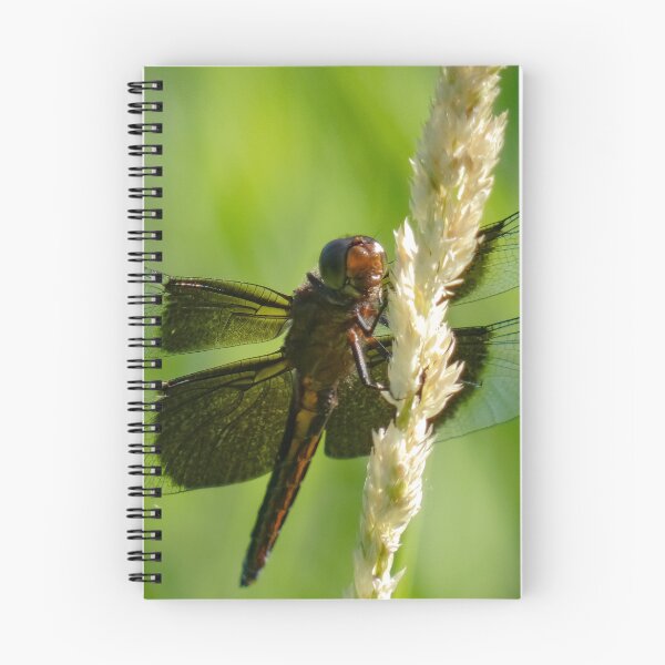 Item preview, Dragon fly de cerca por Brandon Cable designed and sold by BrandonArtWorld.