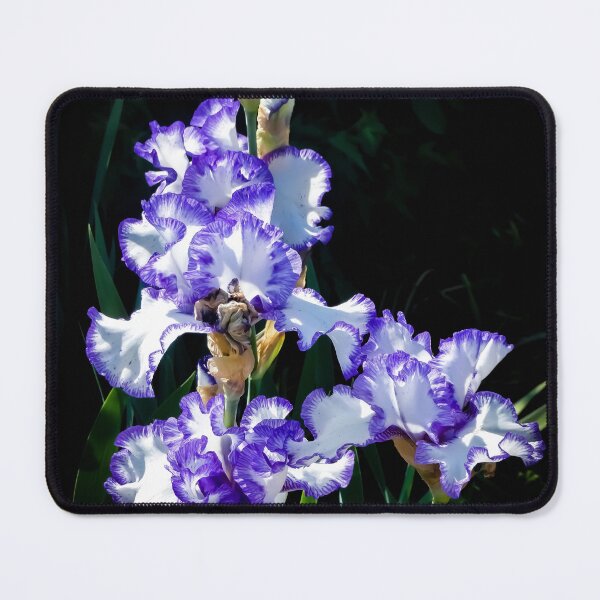 Item preview, Blue Gorgeous By Brandon Cable designed and sold by BrandonArtWorld.