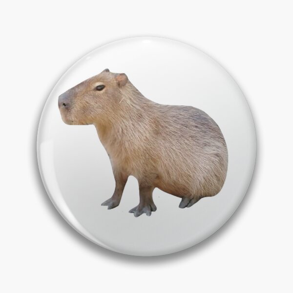 Item preview, Seated Capybara designed and sold by Biscuit25.