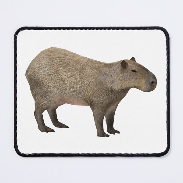Item preview, Capybara designed and sold by Biscuit25.