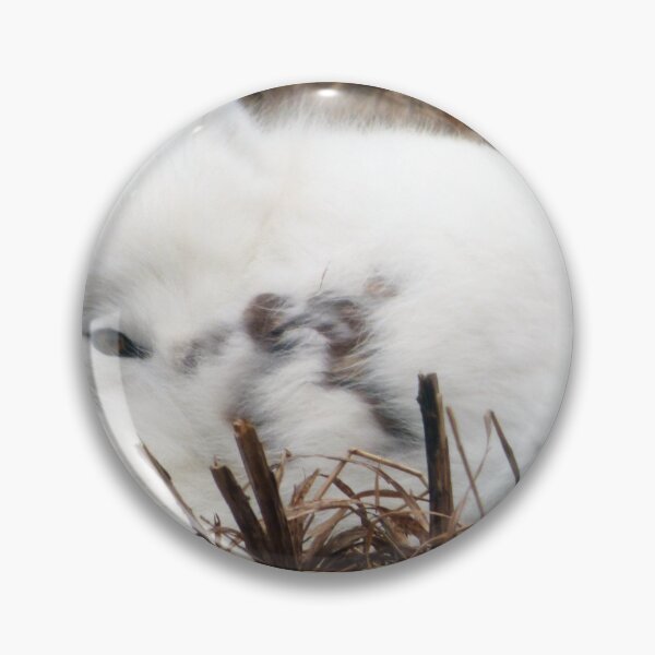 Item preview, Cute Artic Fox By Brandon Cable  designed and sold by BrandonArtWorld.