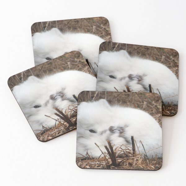 Item preview, Cute Artic Fox By Brandon Cable  designed and sold by BrandonArtWorld.