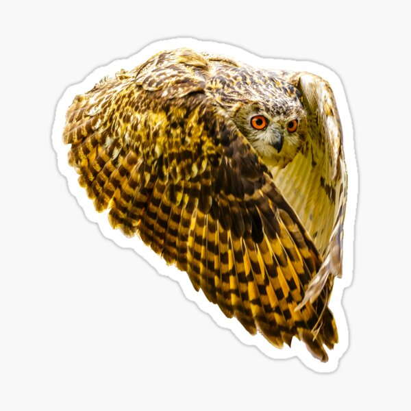 Item preview, Eurasian Eagle owl designed and sold by OwlOccasions.
