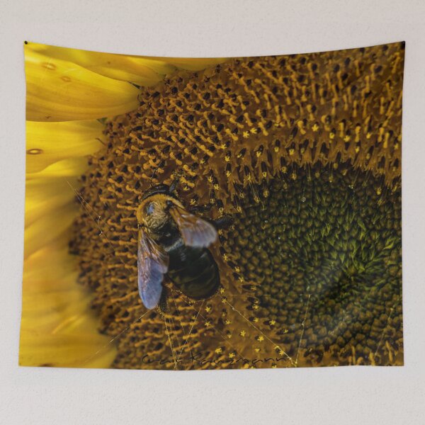 Artikelvorschau, Hummel entworfen und verkauft von Craig Kauzmann.