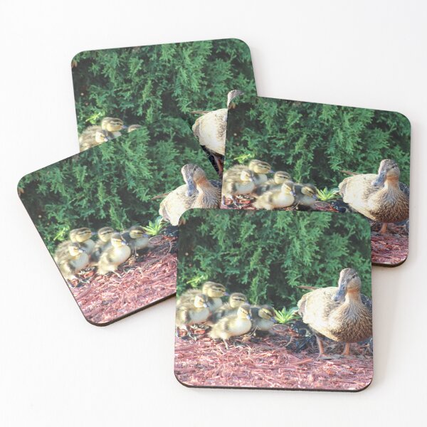 Item preview, Mama Duck and her Ducklings designed and sold by BlueFrogMarket.