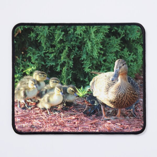 Item preview, Mama Duck and her Ducklings designed and sold by BlueFrogMarket.