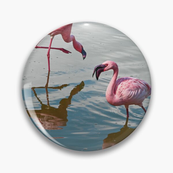 Item preview, Three Flamingos designed and sold by Kate-P-.