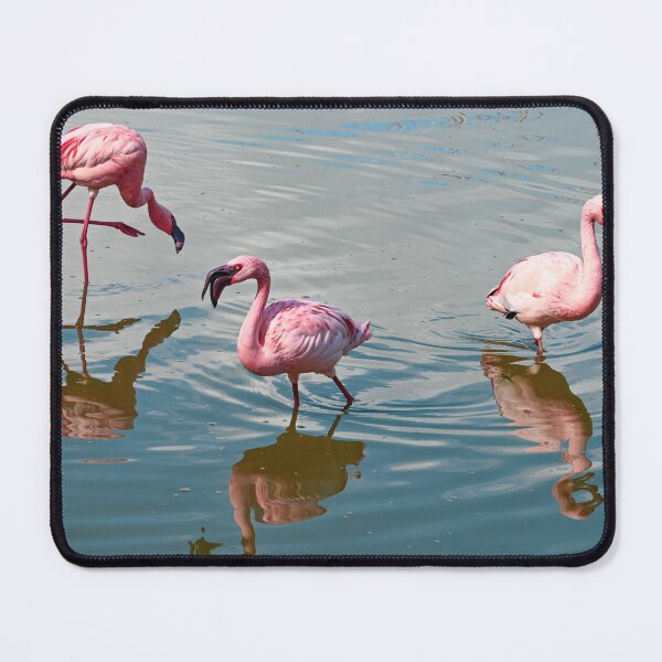 Item preview, Three Flamingos designed and sold by Kate-P-.