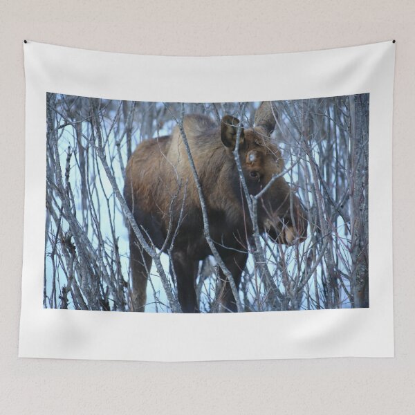 Item preview, Moose eye designed and sold by zumi.