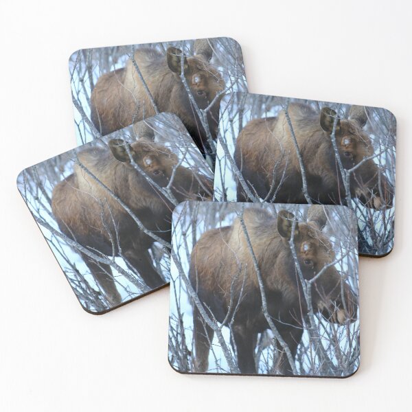 Item preview, Moose eye designed and sold by zumi.