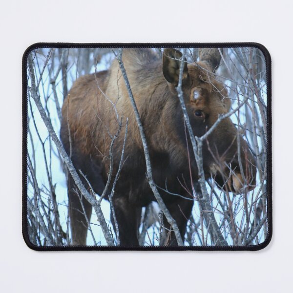 Item preview, Moose eye designed and sold by zumi.
