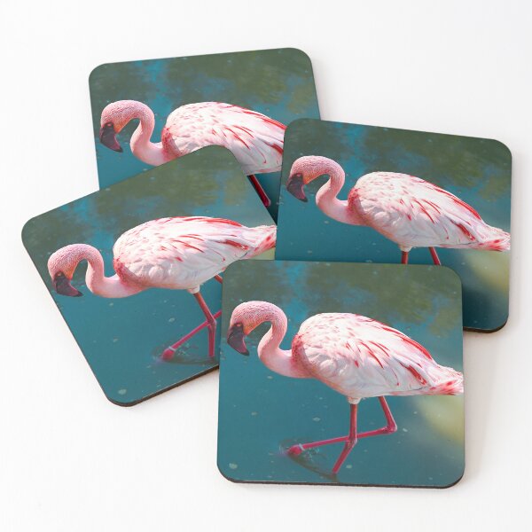 Item preview, Lesser Flamingo designed and sold by Kate-P-.