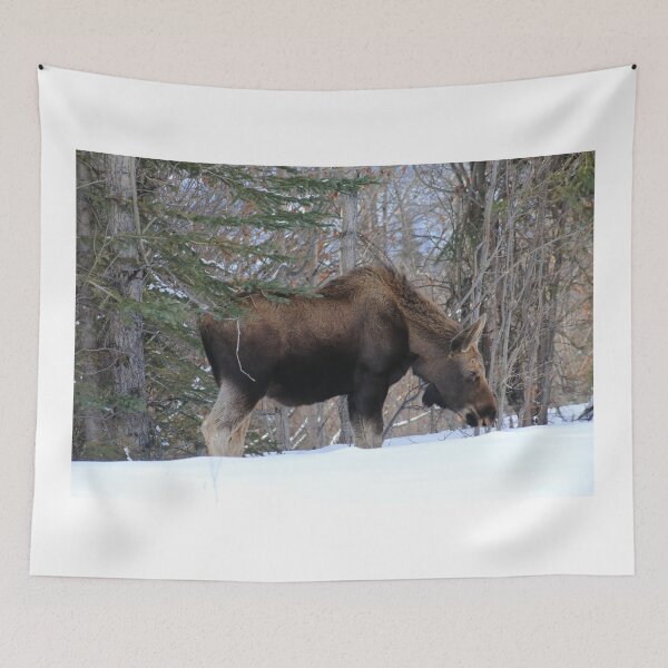 Item preview, Male moose designed and sold by zumi.