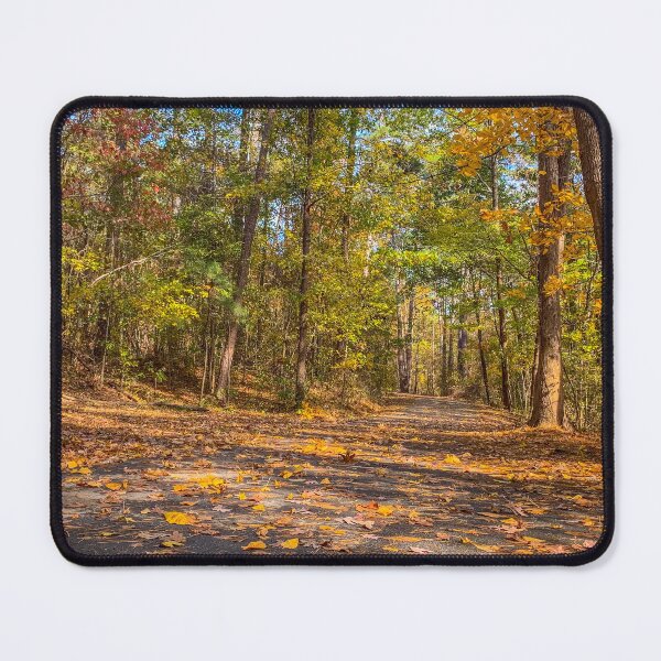 Item preview, Fall Path designed and sold by Craig Kauzmann.