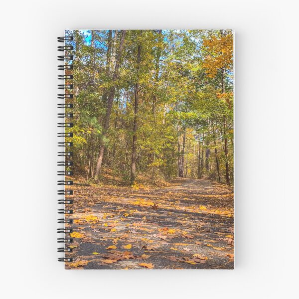 Item preview, Fall Path designed and sold by Craig Kauzmann.