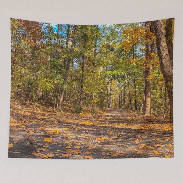Item preview, Fall Path designed and sold by Craig Kauzmann.