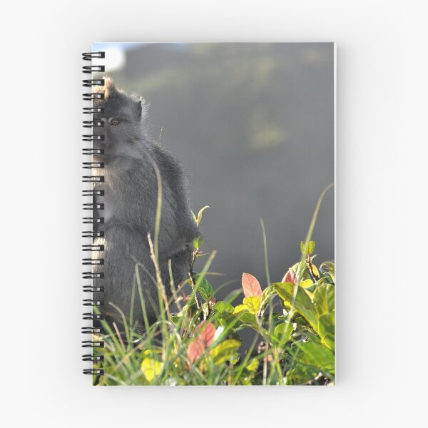 Item preview, The Royal Ascent: A Monkey and Her Baby at the Top of the Balinese Volcano designed and sold by franck380.