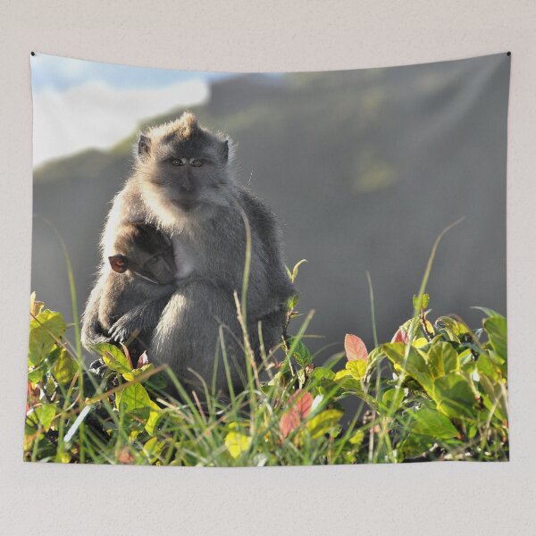 Item preview, The Royal Ascent: A Monkey and Her Baby at the Top of the Balinese Volcano designed and sold by franck380.