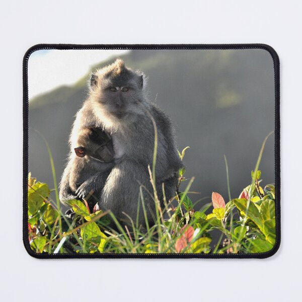 Item preview, The Royal Ascent: A Monkey and Her Baby at the Top of the Balinese Volcano designed and sold by franck380.