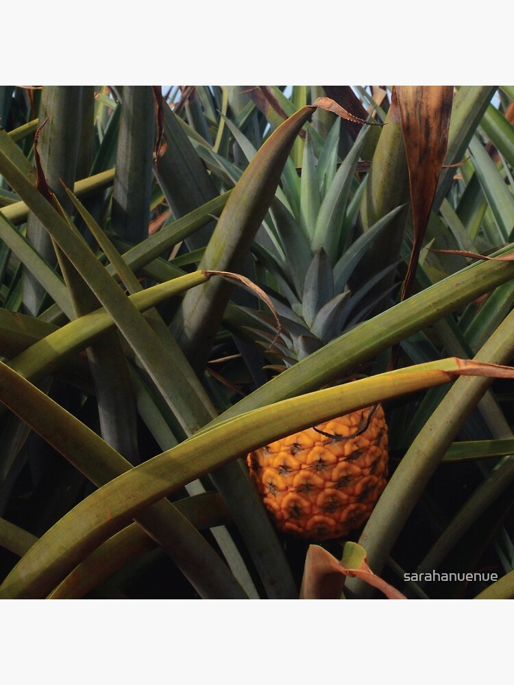 INSULATED BAG - PINEAPPLE CRATE DESIGN - Dole Plantation